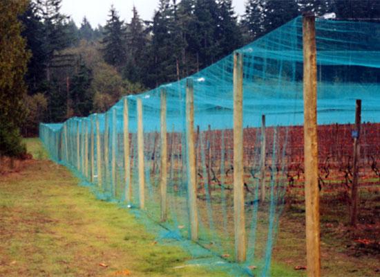 agricultural netting